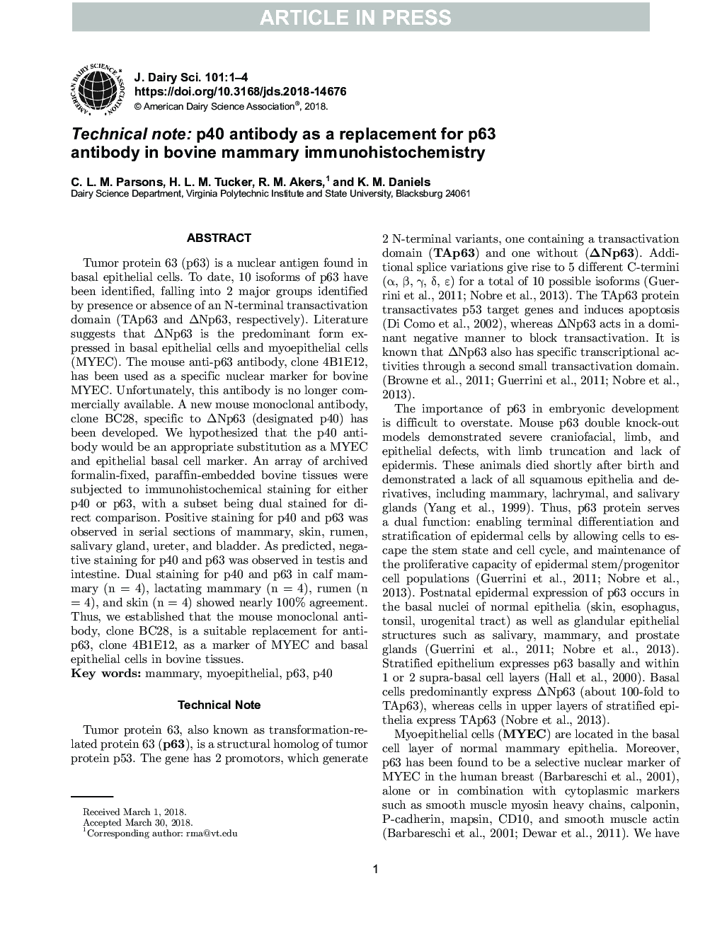 Technical note: p40 antibody as a replacement for p63 antibody in bovine mammary immunohistochemistry