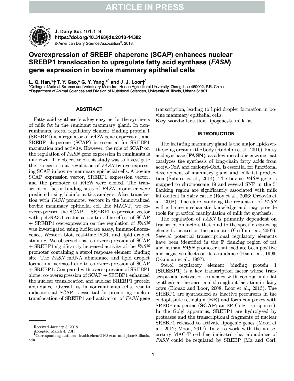 Overexpression of SREBF chaperone (SCAP) enhances nuclear SREBP1 translocation to upregulate fatty acid synthase (FASN) gene expression in bovine mammary epithelial cells