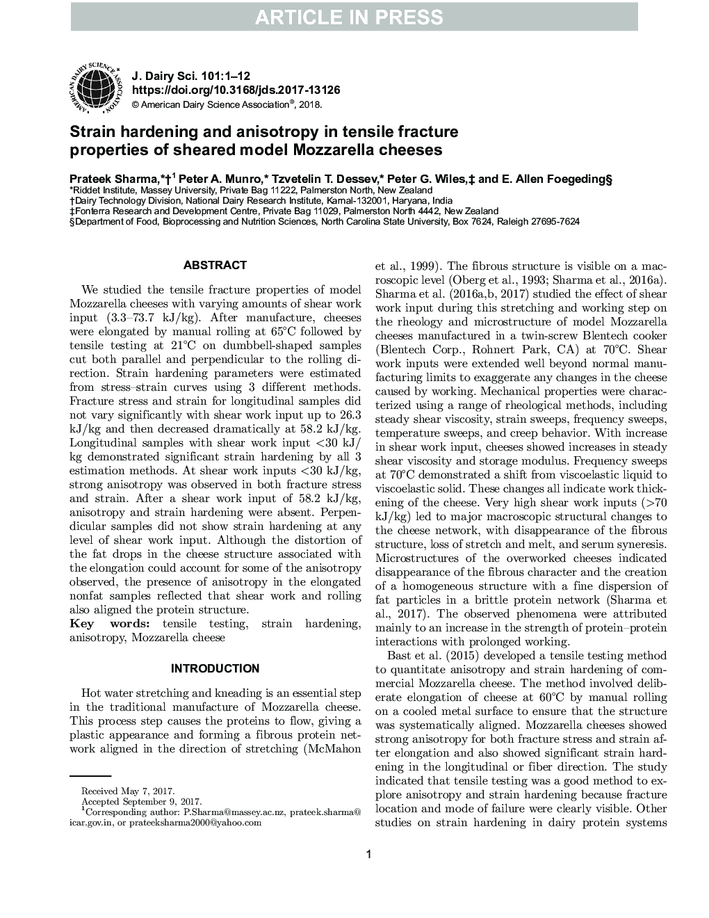 Strain hardening and anisotropy in tensile fracture properties of sheared model Mozzarella cheeses