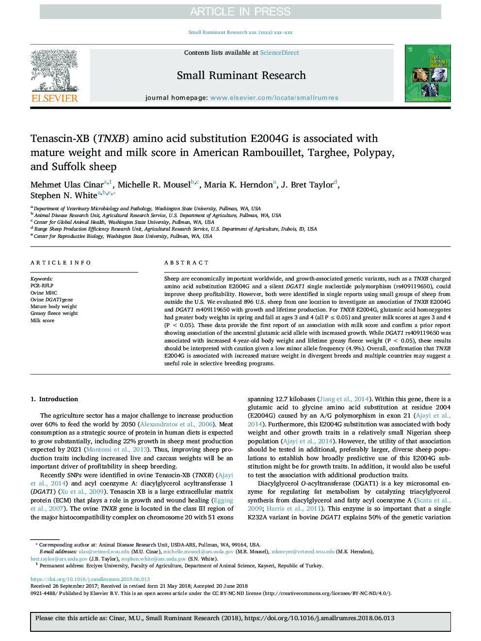 Tenascin-XB (TNXB) amino acid substitution E2004G is associated with mature weight and milk score in American Rambouillet, Targhee, Polypay, and Suffolk sheep