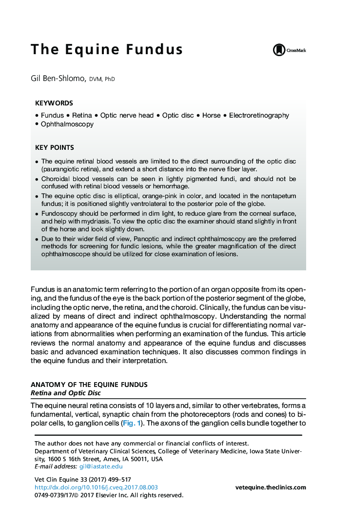 The Equine Fundus