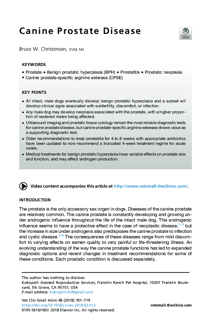 Canine Prostate Disease