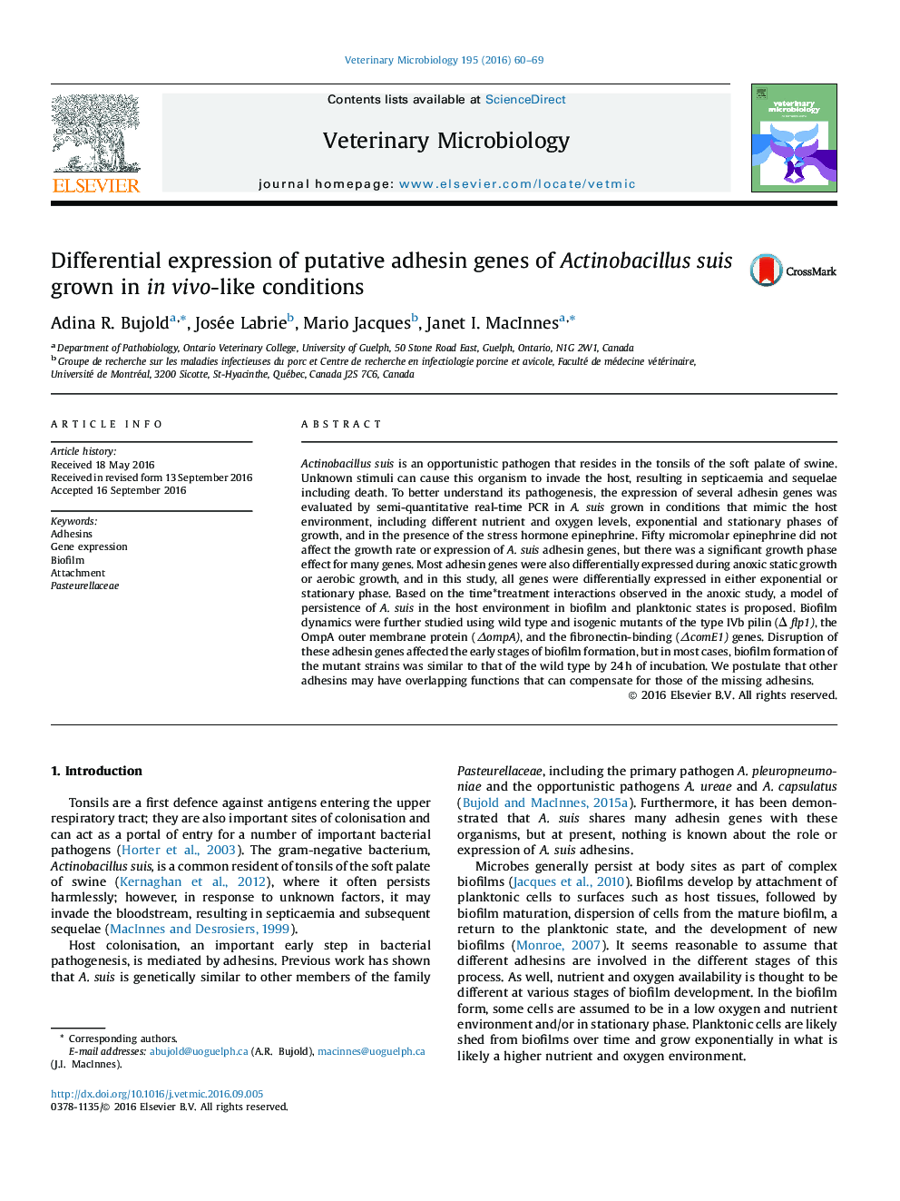 Differential expression of putative adhesin genes of Actinobacillus suis grown in in vivo-like conditions