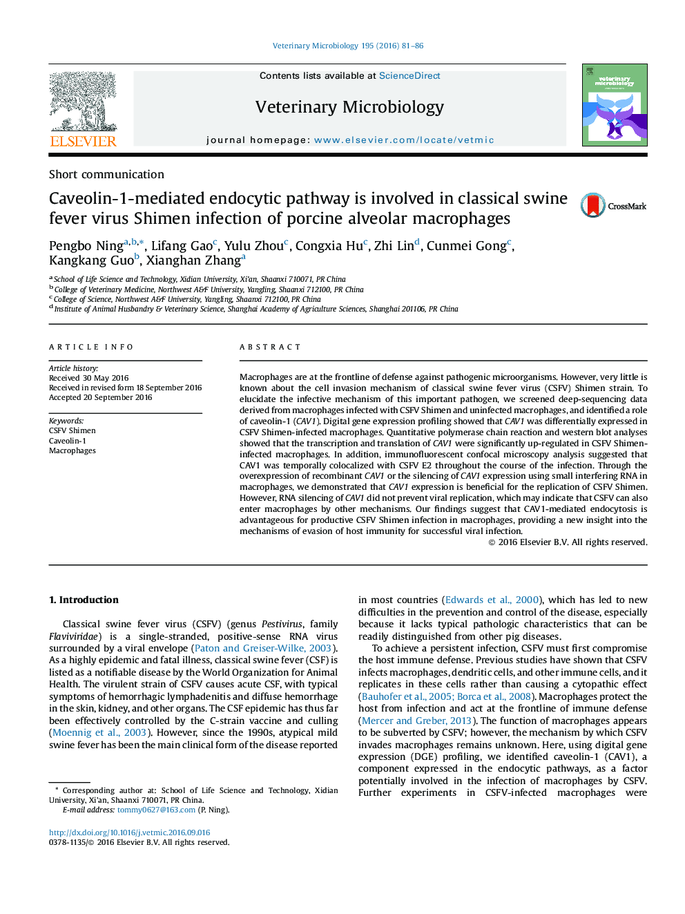 Caveolin-1-mediated endocytic pathway is involved in classical swine fever virus Shimen infection of porcine alveolar macrophages