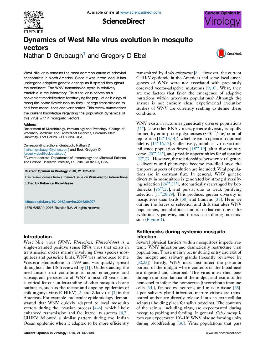 Dynamics of West Nile virus evolution in mosquito vectors