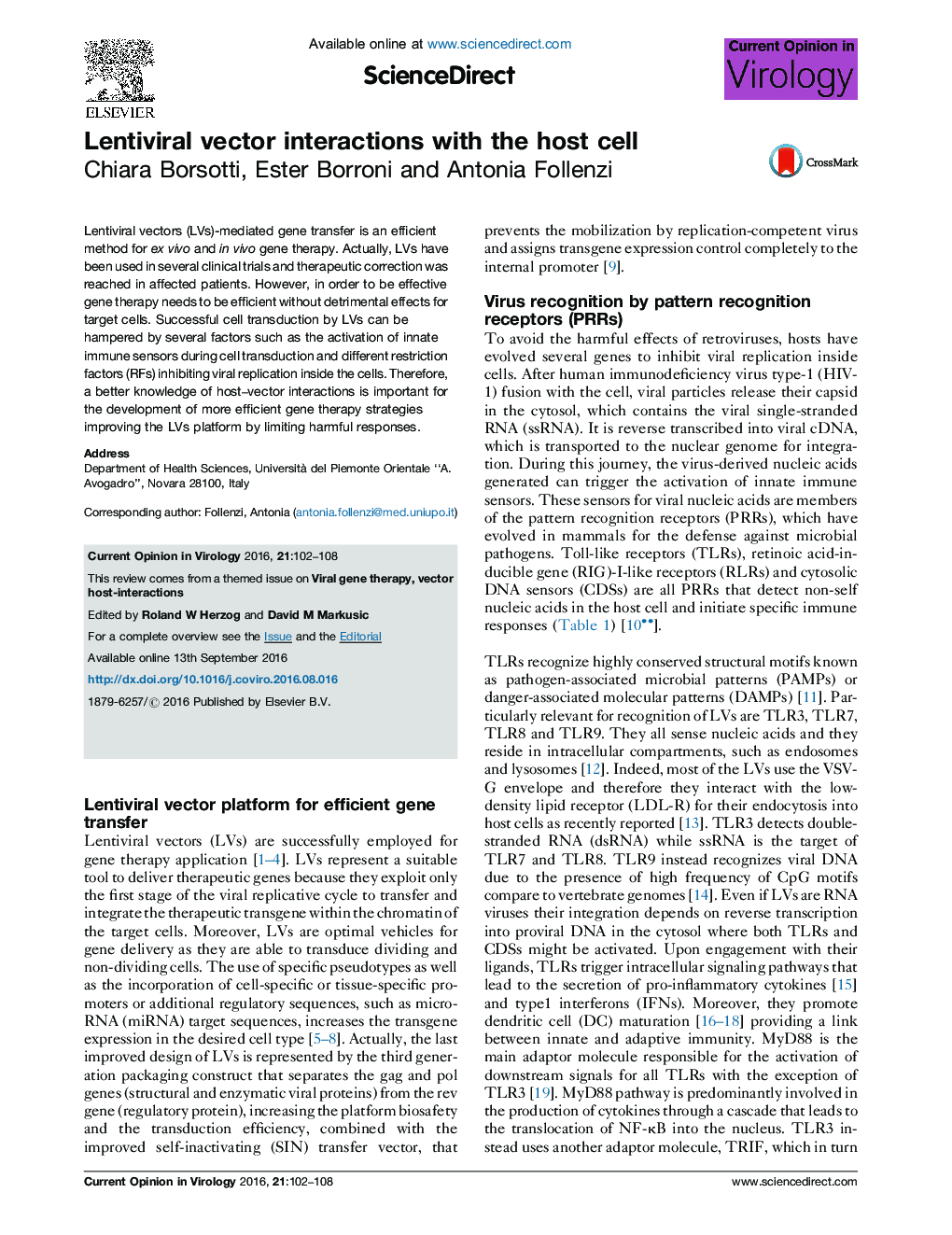 Lentiviral vector interactions with the host cell