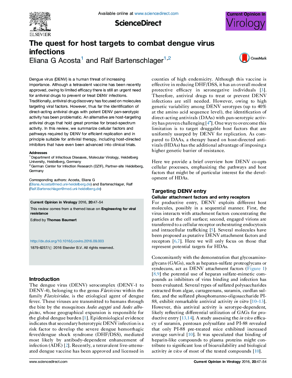 The quest for host targets to combat dengue virus infections