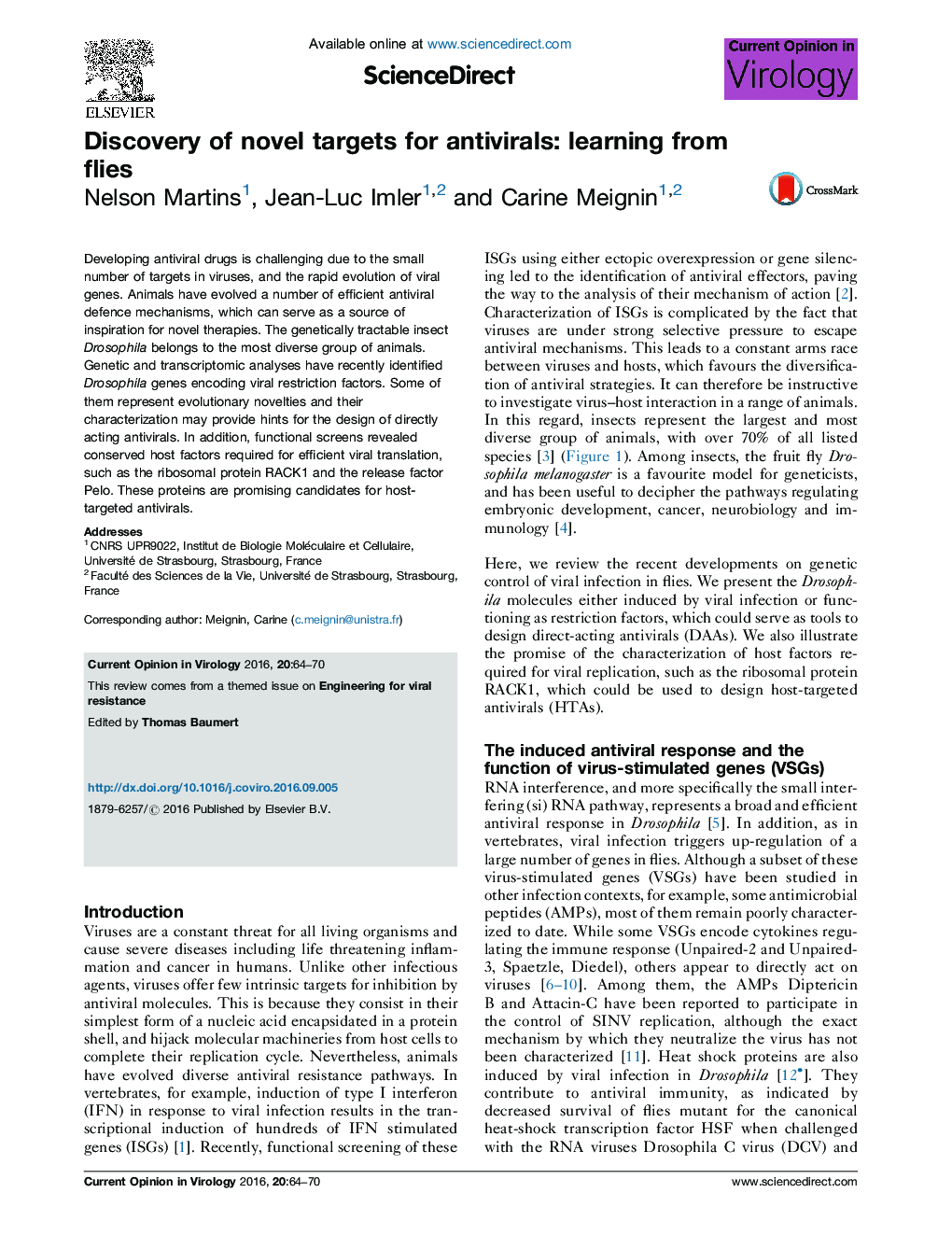 Discovery of novel targets for antivirals: learning from flies