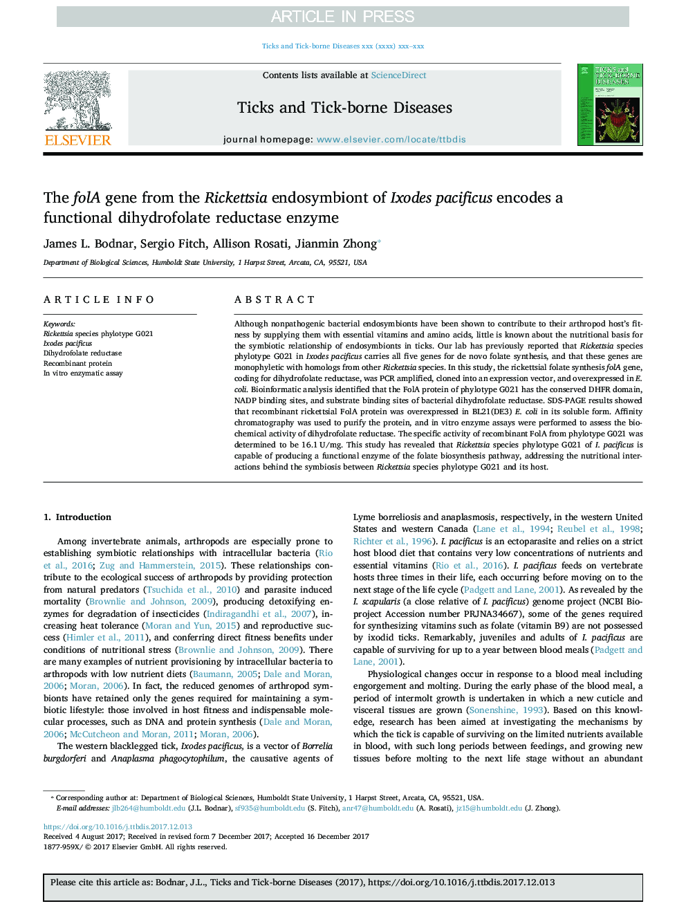 The folA gene from the Rickettsia endosymbiont of Ixodes pacificus encodes a functional dihydrofolate reductase enzyme