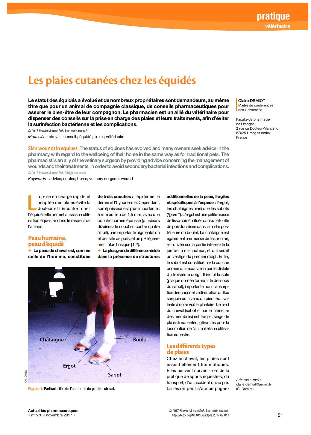 عکس صفحه اول مقاله: Les plaies cutanées chez les équidés Les plaies cutanées chez les équidés