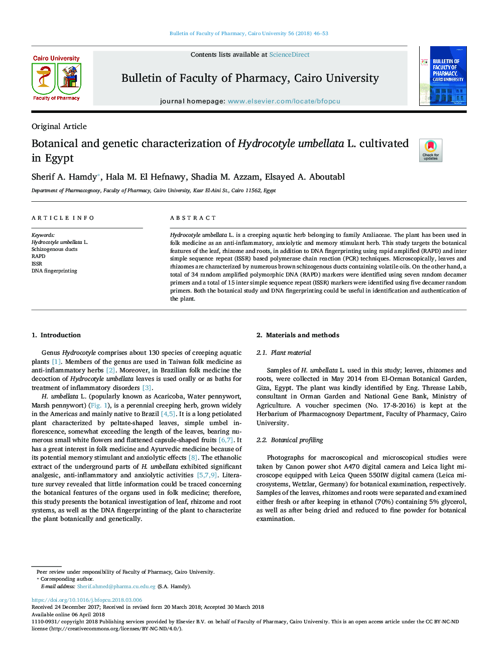 Botanical and genetic characterization of Hydrocotyle umbellata L. cultivated in Egypt