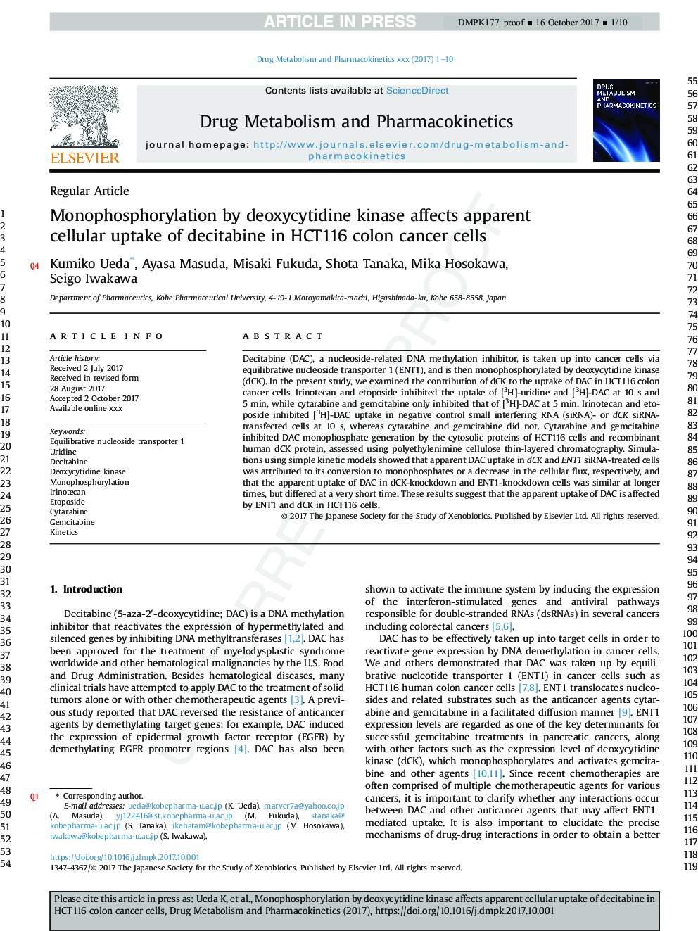 Monophosphorylation by deoxycytidine kinase affects apparent cellular uptake of decitabine in HCT116 colon cancer cells