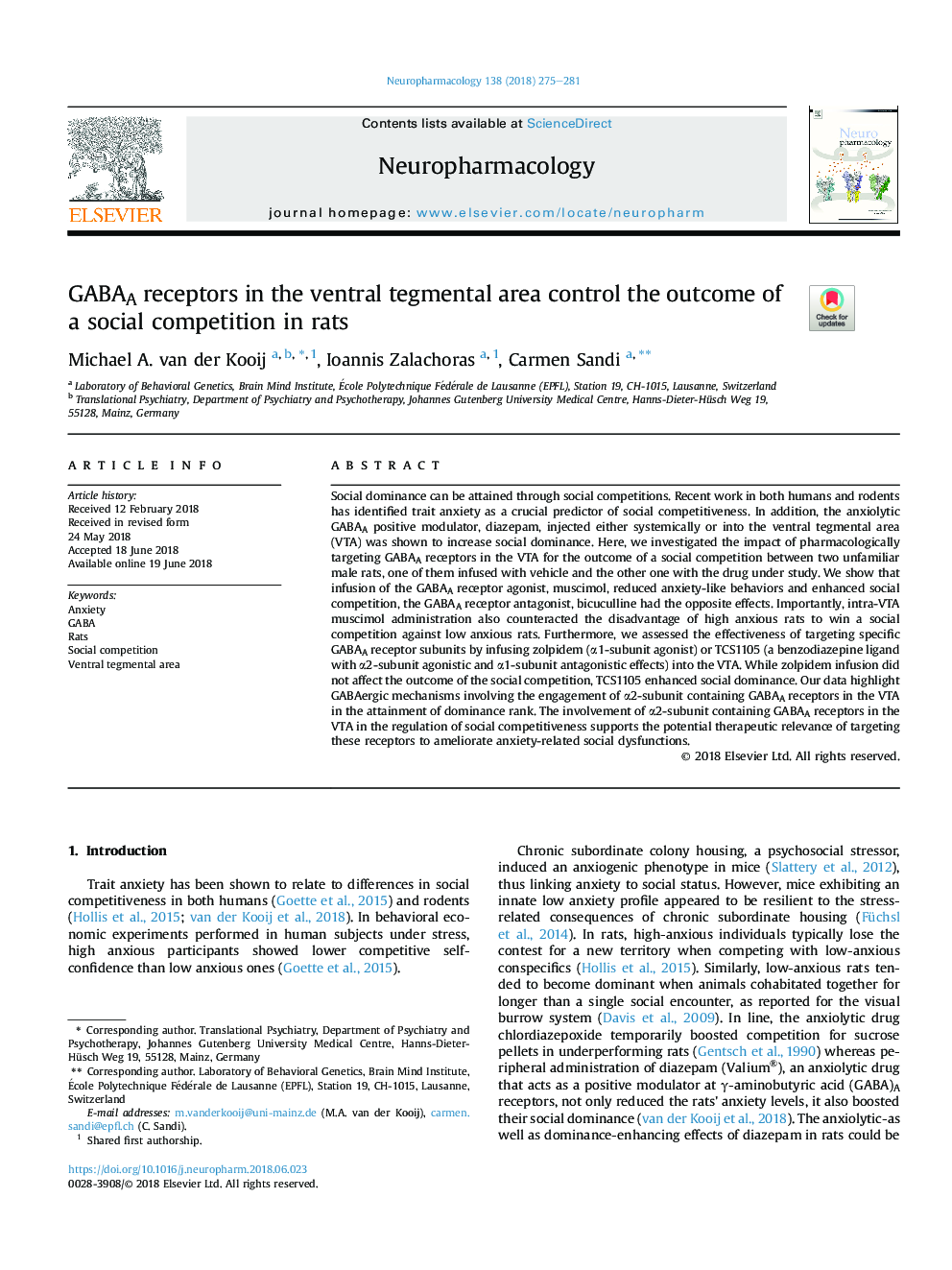 GABAA receptors in the ventral tegmental area control the outcome of a social competition in rats