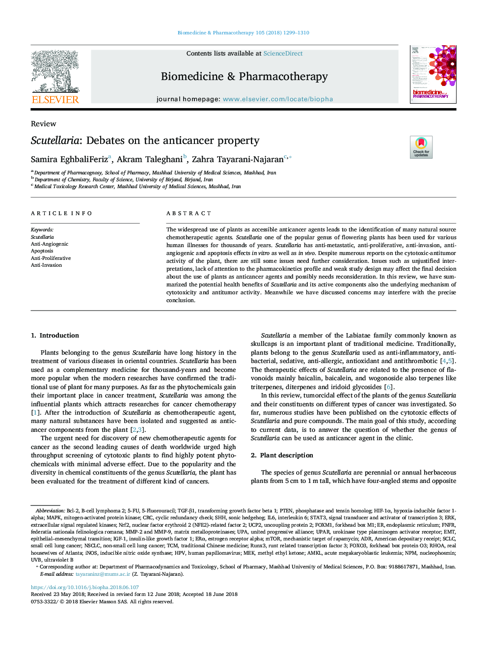 Scutellaria: Debates on the anticancer property