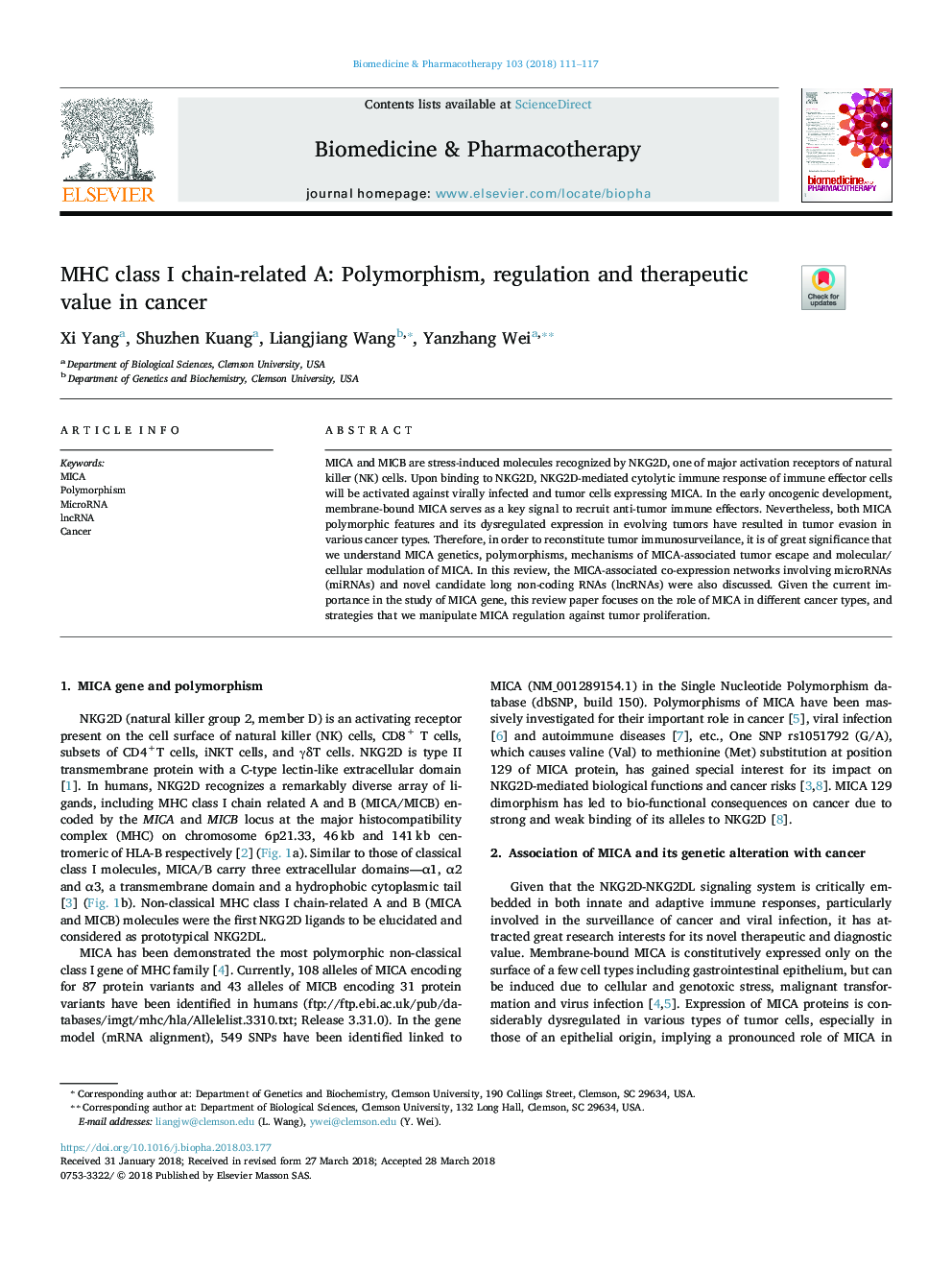 MHC class I chain-related A: Polymorphism, regulation and therapeutic value in cancer