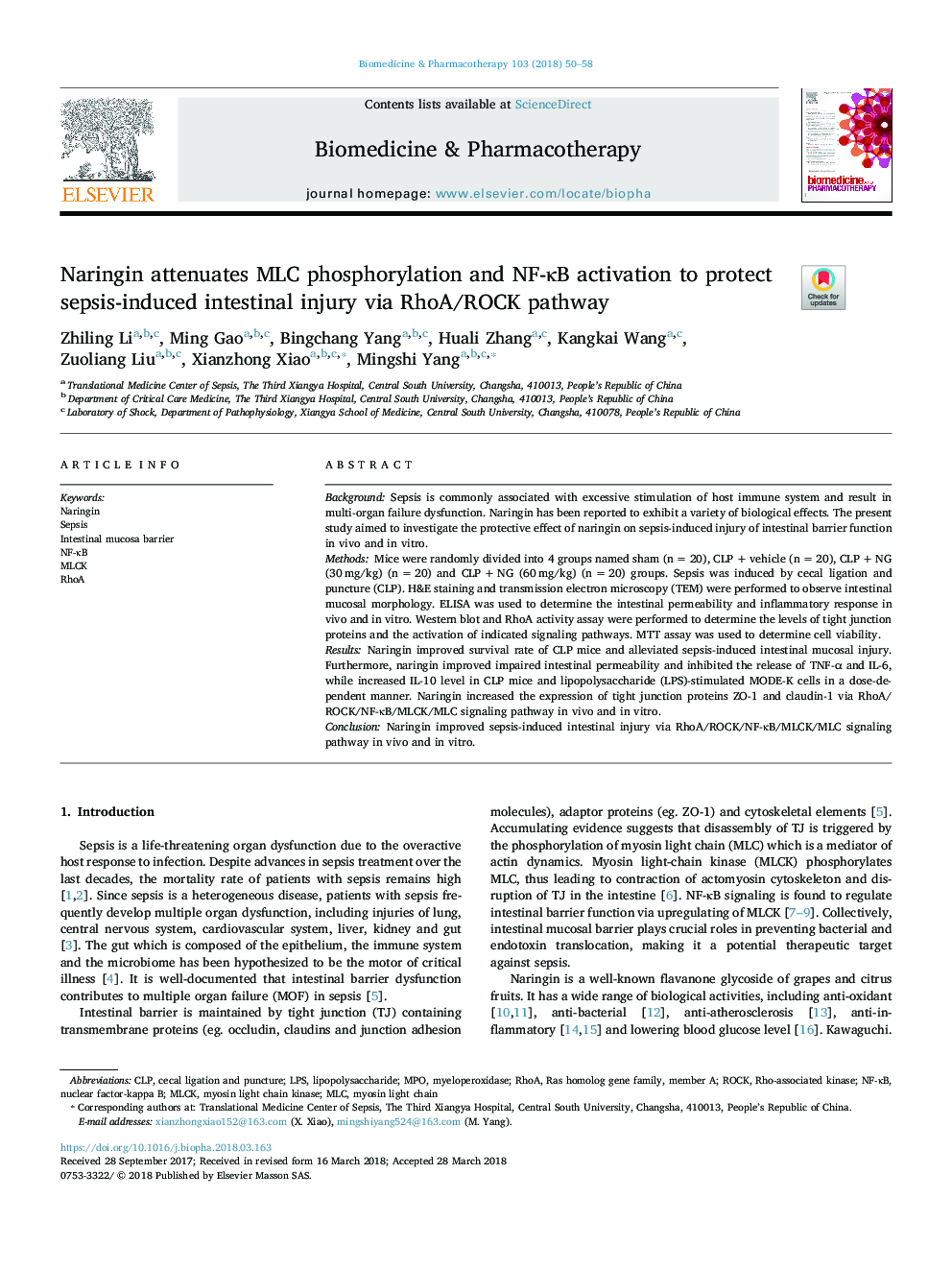 Naringin attenuates MLC phosphorylation and NF-ÎºB activation to protect sepsis-induced intestinal injury via RhoA/ROCK pathway