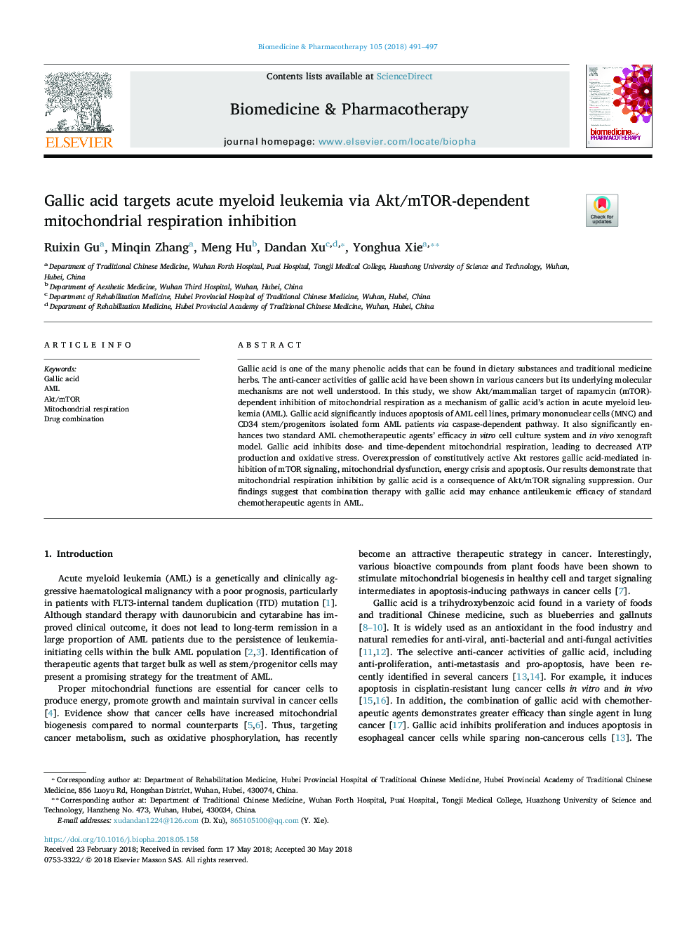 Gallic acid targets acute myeloid leukemia via Akt/mTOR-dependent mitochondrial respiration inhibition