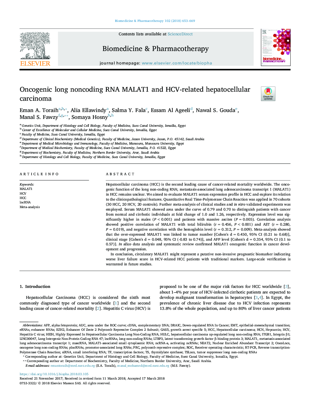 Oncogenic long noncoding RNA MALAT1 and HCV-related hepatocellular carcinoma
