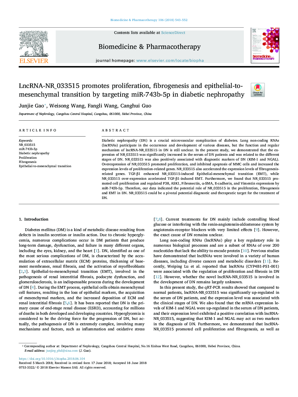 LncRNA-NR_033515 promotes proliferation, fibrogenesis and epithelial-to-mesenchymal transition by targeting miR-743b-5p in diabetic nephropathy