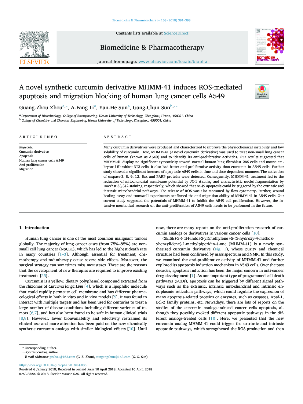 A novel synthetic curcumin derivative MHMM-41 induces ROS-mediated apoptosis and migration blocking of human lung cancer cells A549