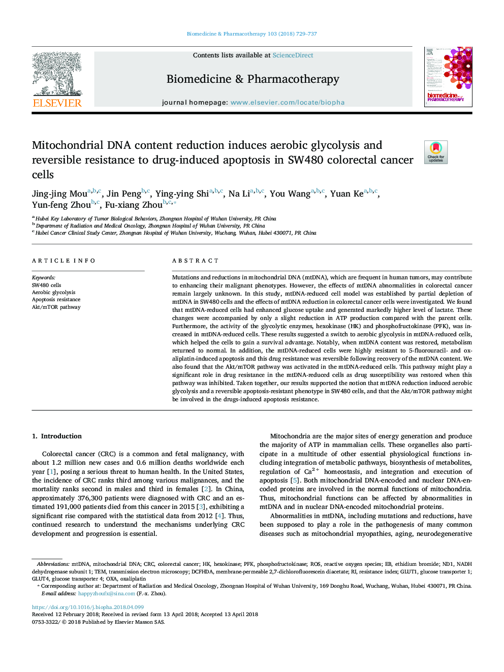 Mitochondrial DNA content reduction induces aerobic glycolysis and reversible resistance to drug-induced apoptosis in SW480 colorectal cancer cells