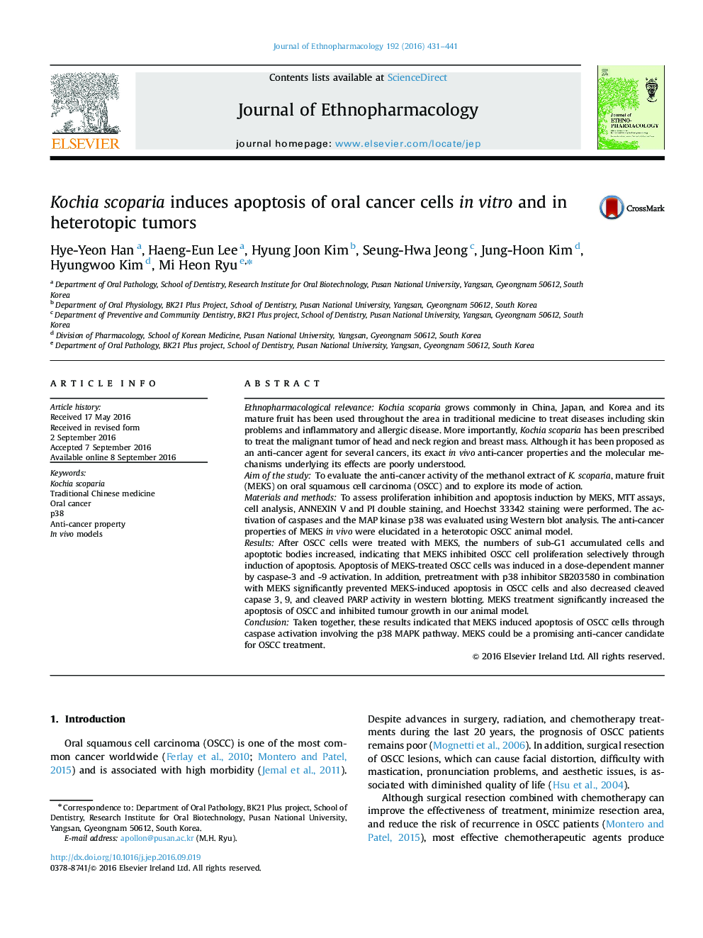 Kochia scoparia induces apoptosis of oral cancer cells in vitro and in heterotopic tumors