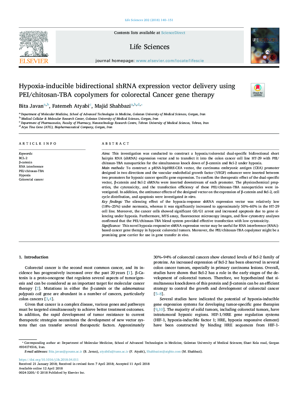 Hypoxia-inducible bidirectional shRNA expression vector delivery using PEI/chitosan-TBA copolymers for colorectal Cancer gene therapy