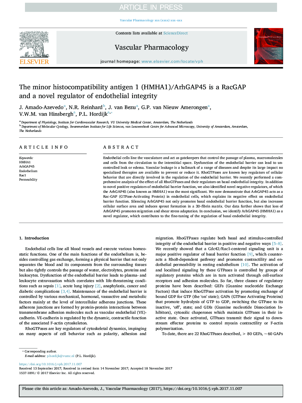 The minor histocompatibility antigen 1 (HMHA1)/ArhGAP45 is a RacGAP and a novel regulator of endothelial integrity