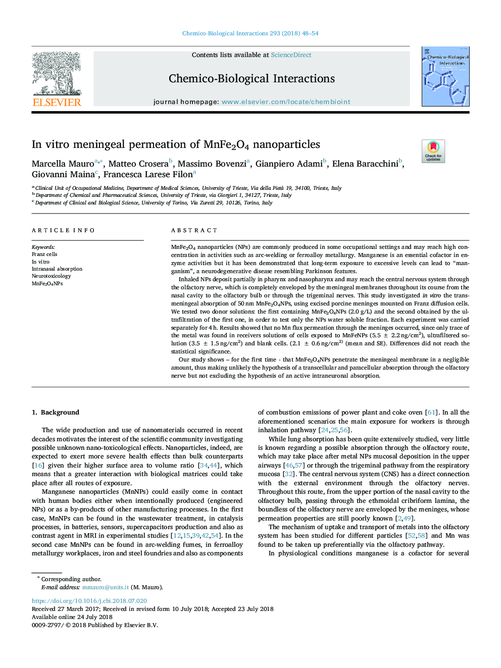 In vitro meningeal permeation of MnFe2O4 nanoparticles