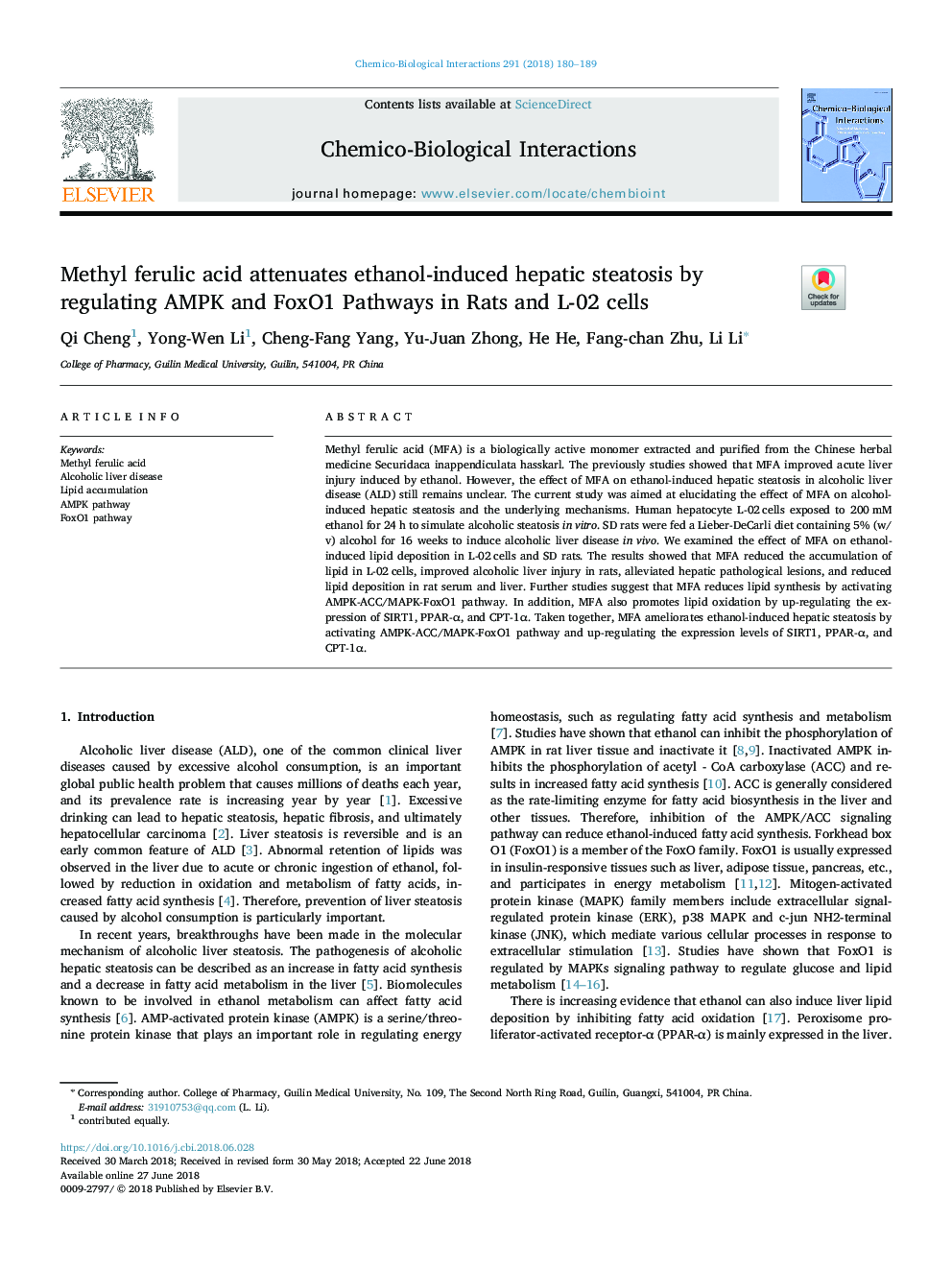 Methyl ferulic acid attenuates ethanol-induced hepatic steatosis by regulating AMPK and FoxO1 Pathways in Rats and L-02 cells