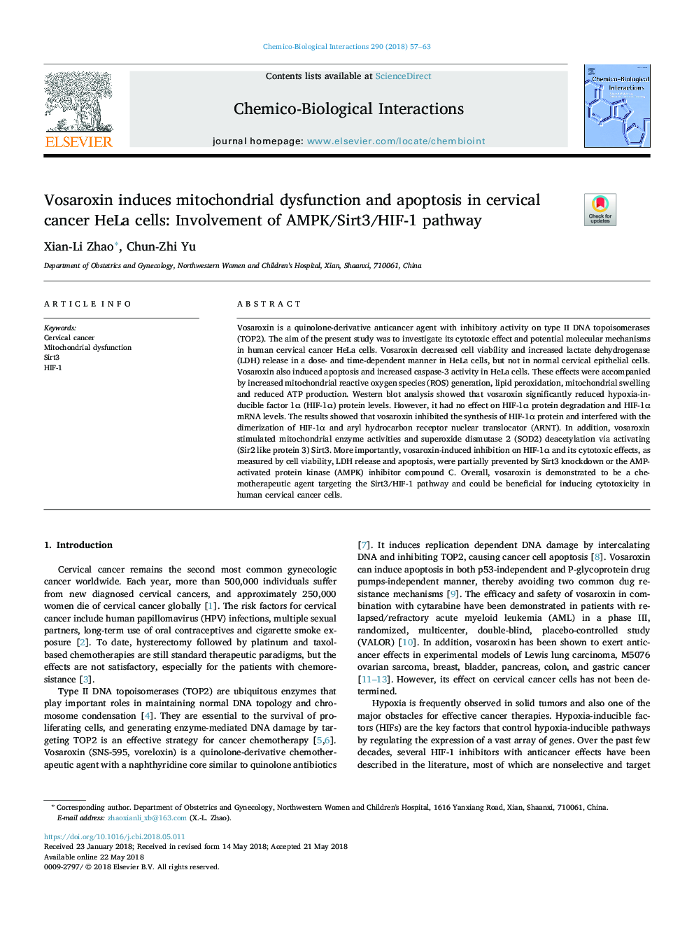 Vosaroxin induces mitochondrial dysfunction and apoptosis in cervical cancer HeLa cells: Involvement of AMPK/Sirt3/HIF-1 pathway