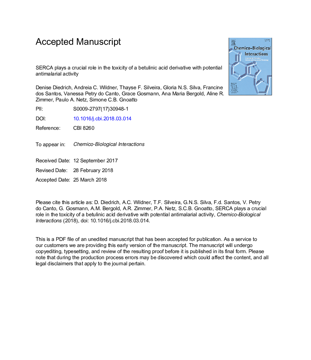 SERCA plays a crucial role in the toxicity of a betulinic acid derivative with potential antimalarial activity