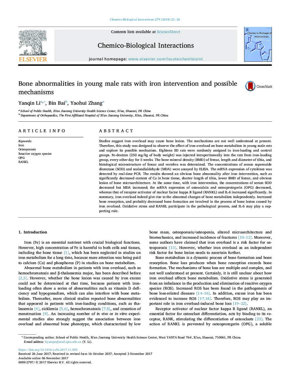 Bone abnormalities in young male rats with iron intervention and possible mechanisms