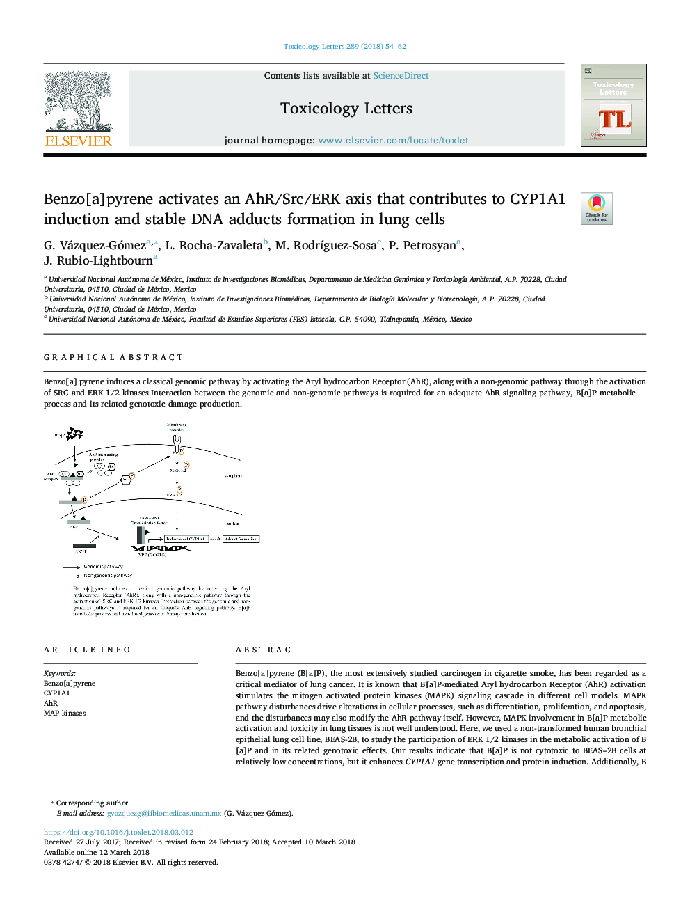 Benzo[a]pyrene activates an AhR/Src/ERK axis that contributes to CYP1A1 induction and stable DNA adducts formation in lung cells