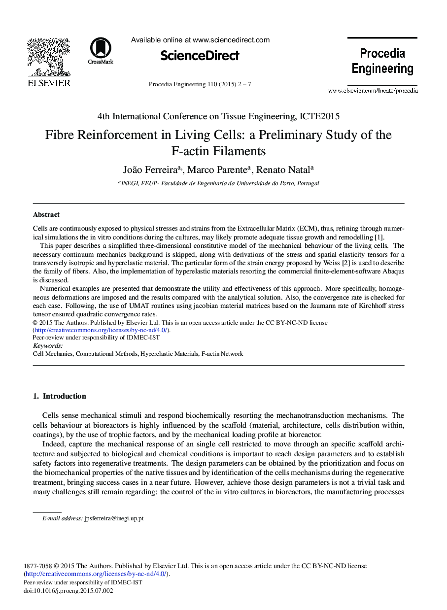 Fibre Reinforcement in Living Cells: A Preliminary Study of the F-actin Filaments 