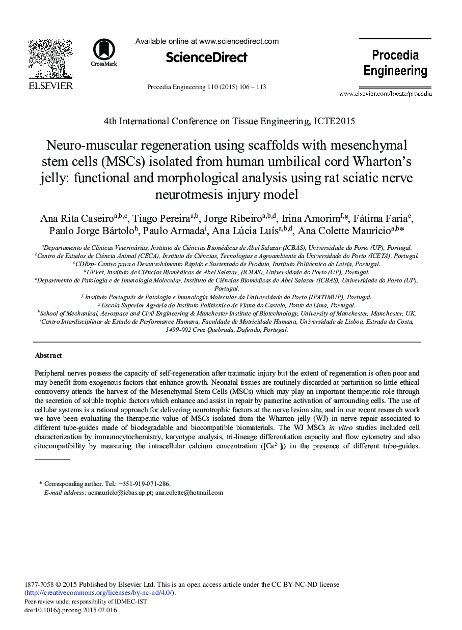 Neuro-muscular Regeneration Using Scaffolds with Mesenchymal Stem Cells (MSCs) Isolated from Human Umbilical Cord Wharton's Jelly: Functional and Morphological Analysis Using Rat Sciatic Nerve Neurotmesis Injury Model 