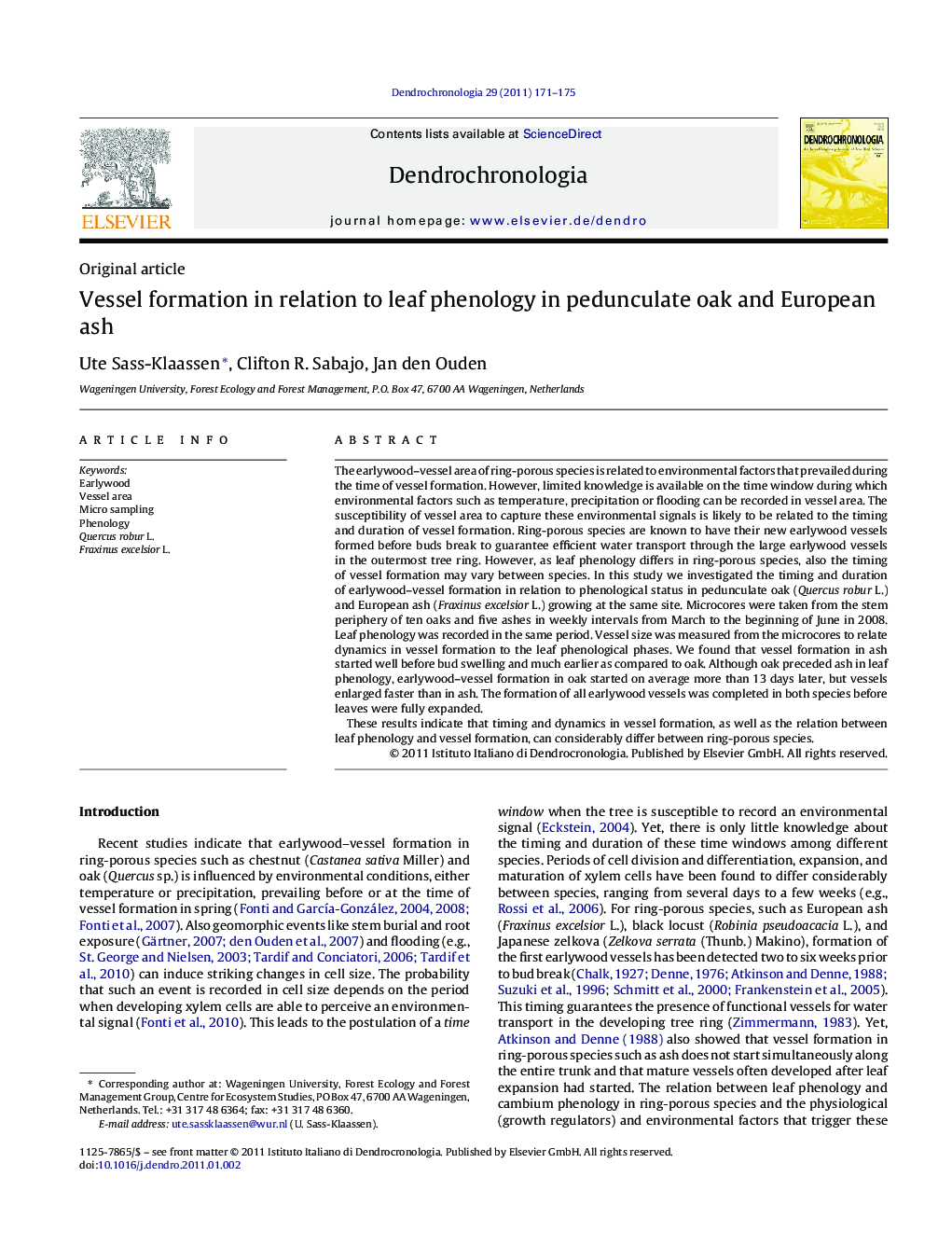 Vessel formation in relation to leaf phenology in pedunculate oak and European ash