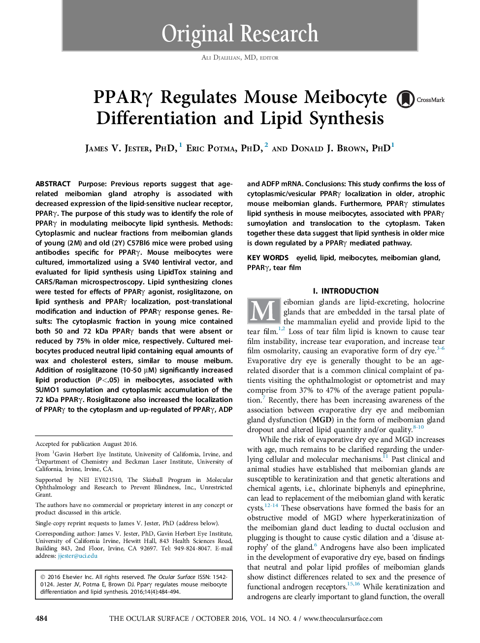 PPARÎ³ Regulates Mouse Meibocyte Differentiation and Lipid Synthesis