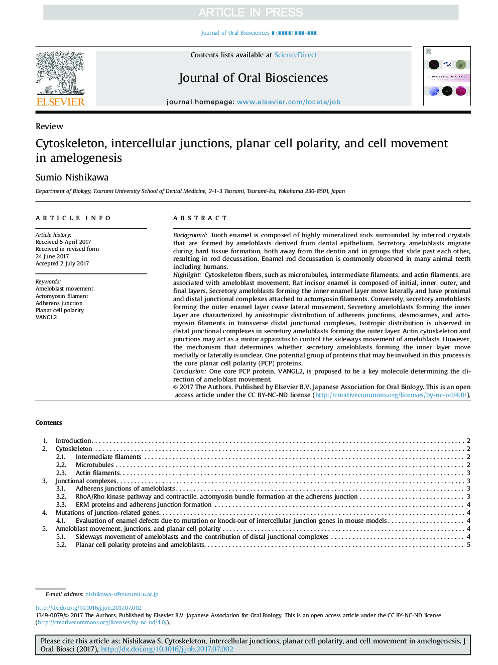 Cytoskeleton, intercellular junctions, planar cell polarity, and cell movement in amelogenesis