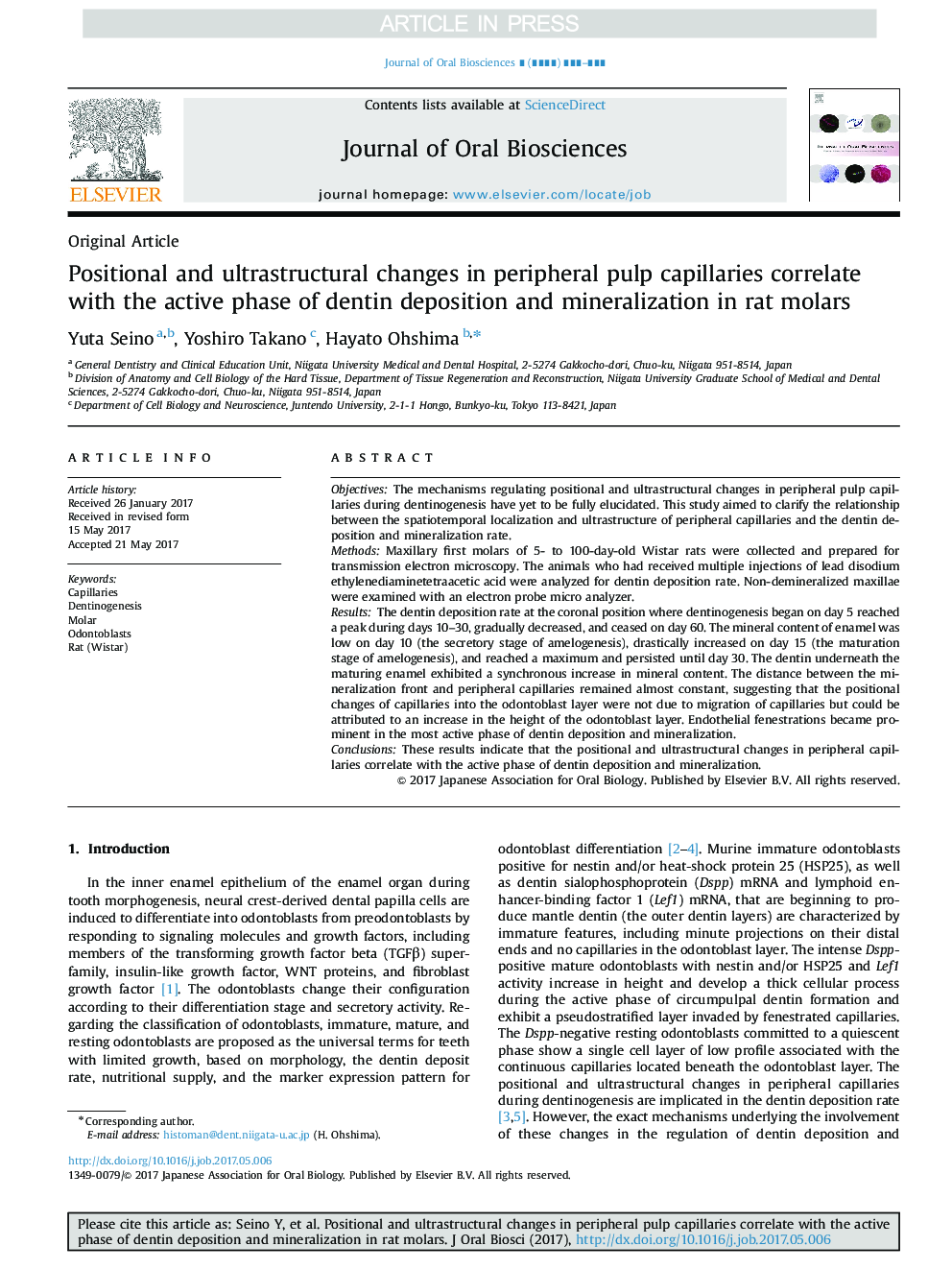 Positional and ultrastructural changes in peripheral pulp capillaries correlate with the active phase of dentin deposition and mineralization in rat molars