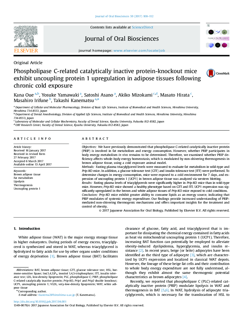 Phospholipase C-related catalytically inactive protein-knockout mice exhibit uncoupling protein 1 upregulation in adipose tissues following chronic cold exposure