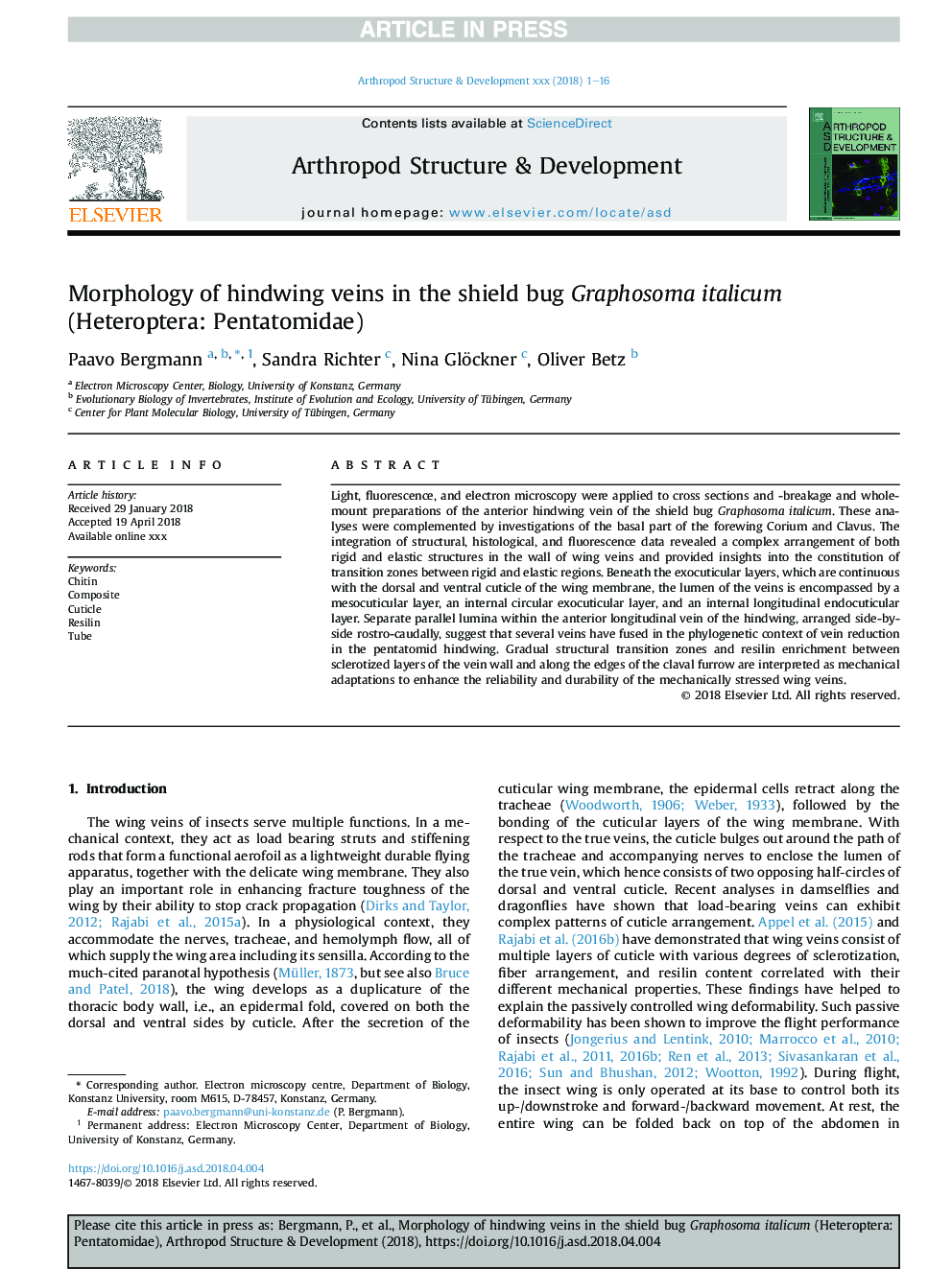 Morphology of hindwing veins in the shield bug Graphosoma italicum (Heteroptera: Pentatomidae)