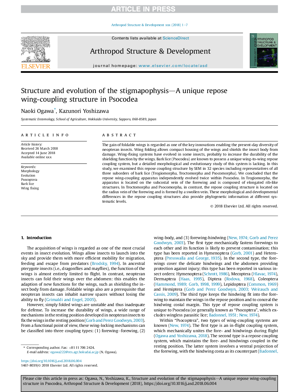 Structure and evolution of the stigmapophysis-A unique repose wing-coupling structure in Psocodea