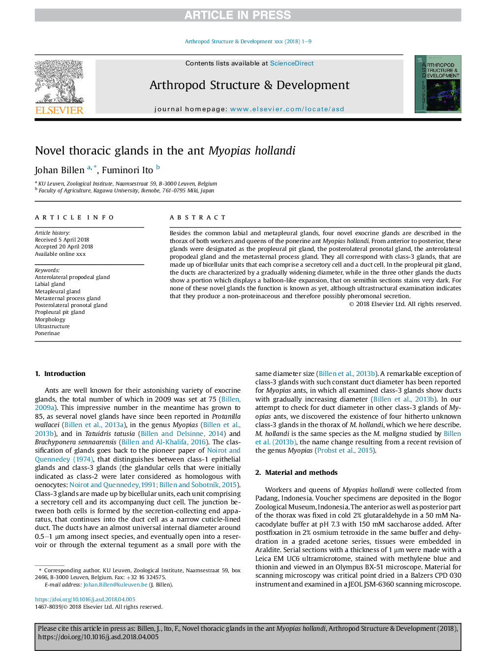 Novel thoracic glands in the ant Myopias hollandi