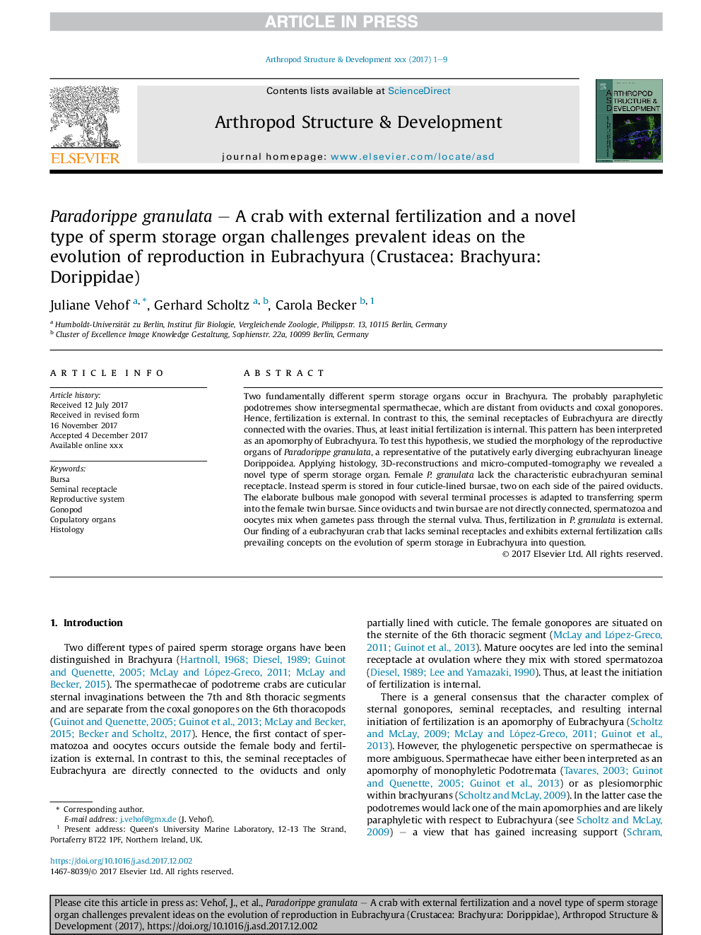 Paradorippe granulata - A crab with external fertilization and a novel type of sperm storage organ challenges prevalent ideas on the evolution of reproduction in Eubrachyura (Crustacea: Brachyura: Dorippidae)