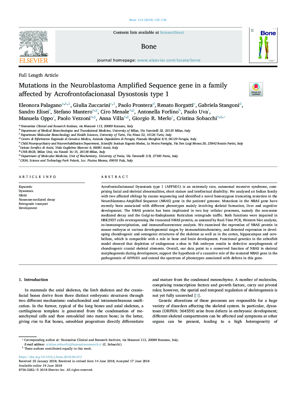 Mutations in the Neuroblastoma Amplified Sequence gene in a family affected by Acrofrontofacionasal Dysostosis type 1