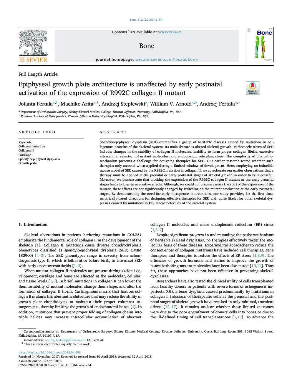 Epiphyseal growth plate architecture is unaffected by early postnatal activation of the expression of R992C collagen II mutant