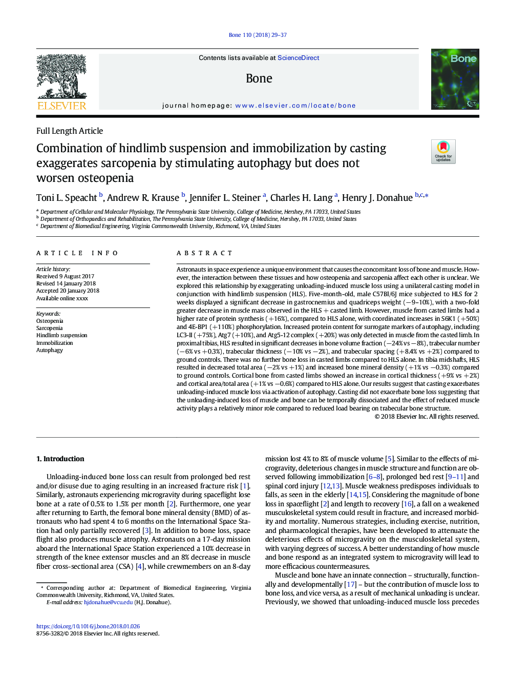 Combination of hindlimb suspension and immobilization by casting exaggerates sarcopenia by stimulating autophagy but does not worsen osteopenia