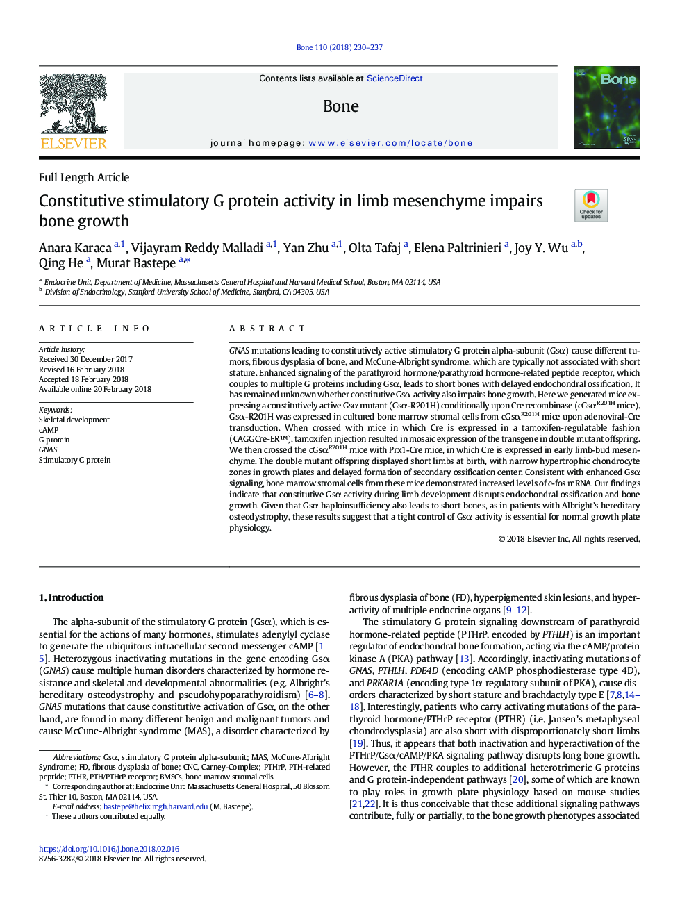 Constitutive stimulatory G protein activity in limb mesenchyme impairs bone growth