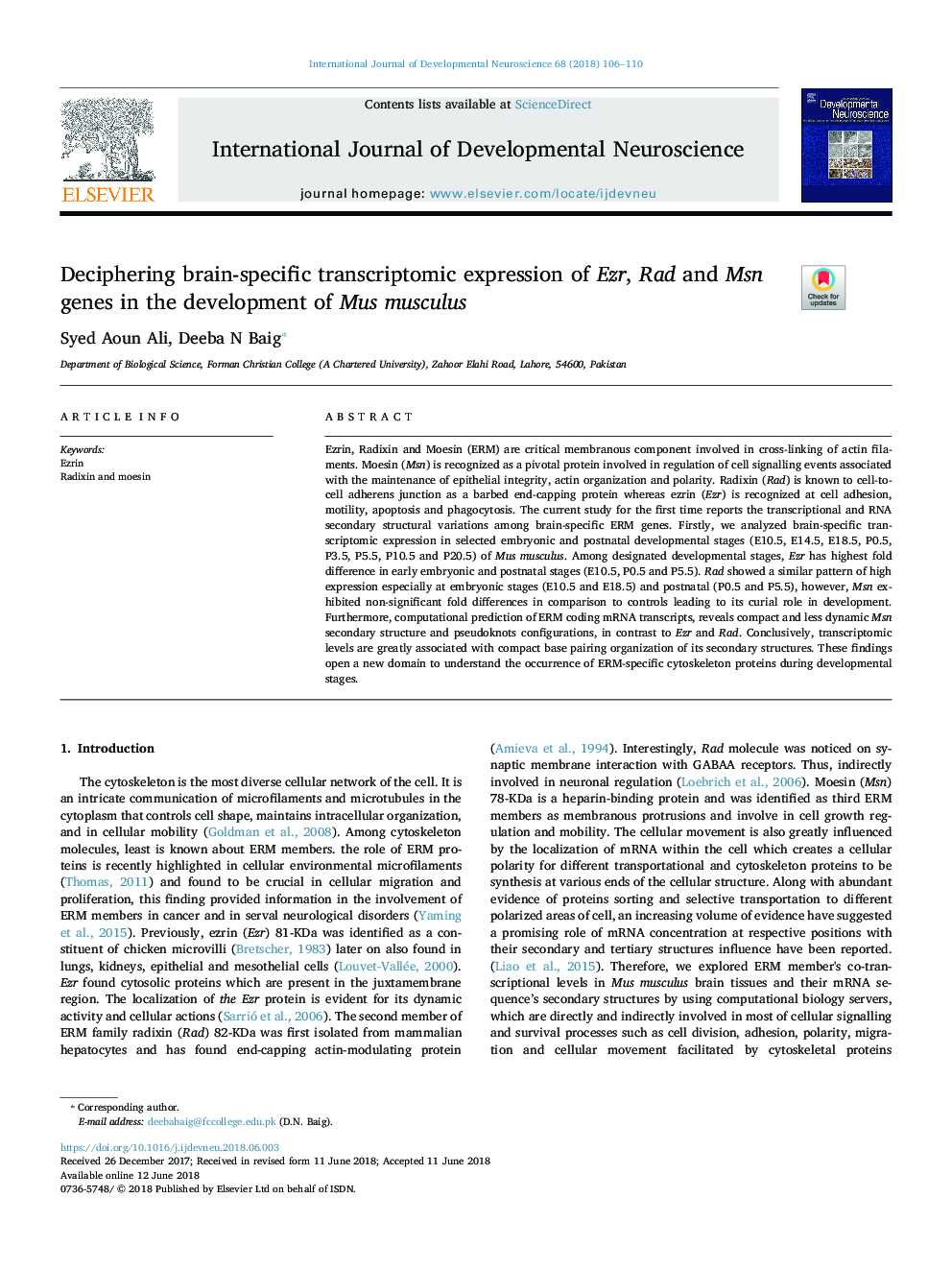 Deciphering brain-specific transcriptomic expression of Ezr, Rad and Msn genes in the development of Mus musculus